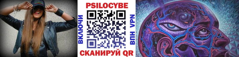 ОМГ ОМГ зеркало  Солнечногорск  Псилоцибиновые грибы Psilocybe 